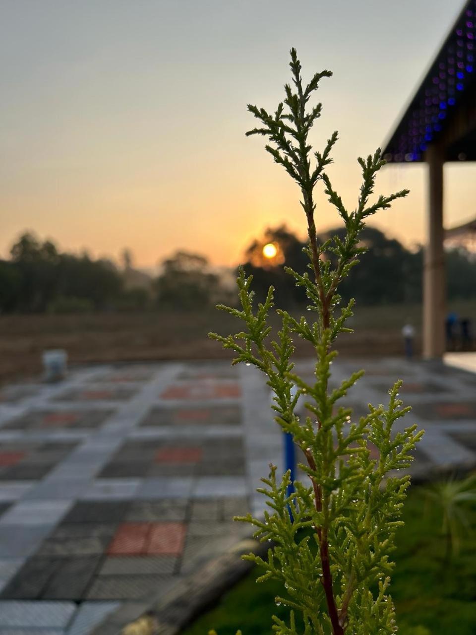 Yashovana Nature Stay Gokarna Esterno foto